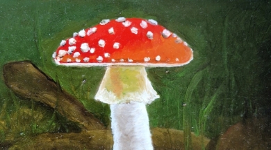 Paddestoel op paneel